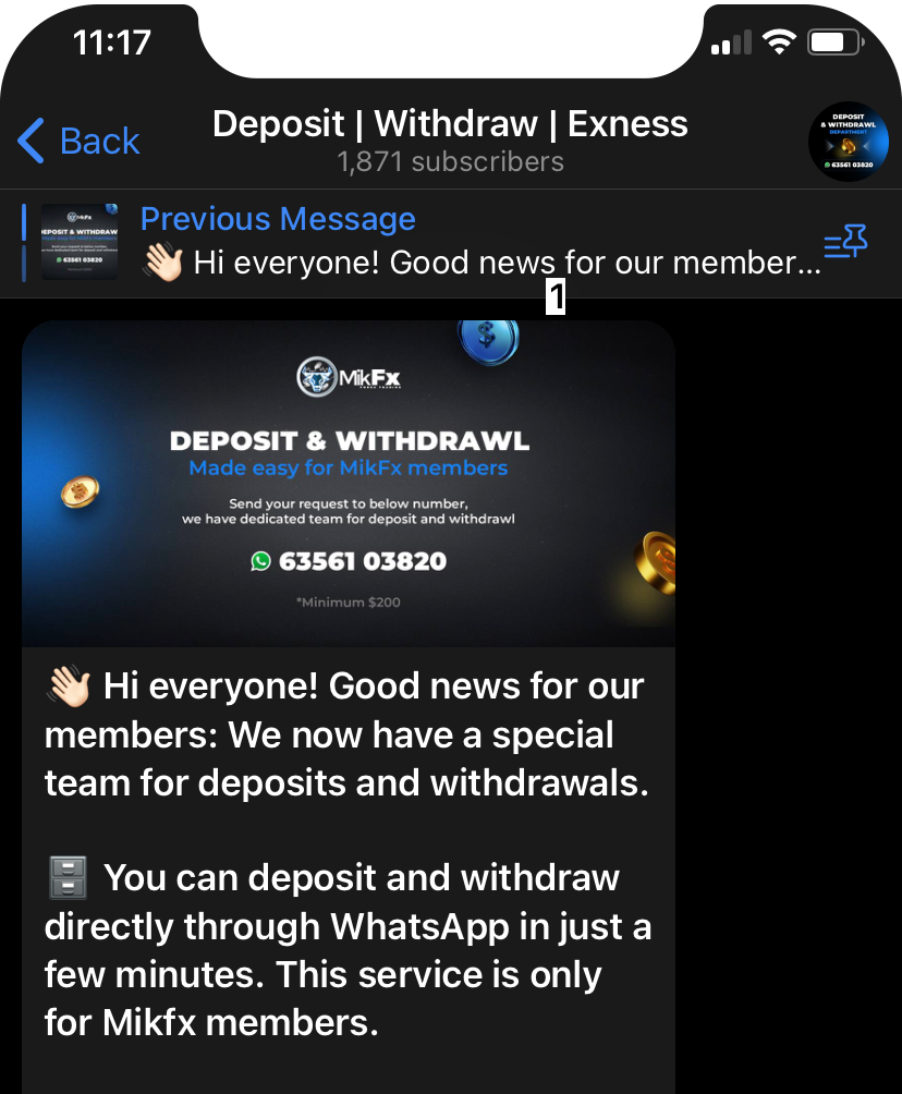 MikFx_DepositWithdrawl